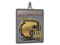 Sticker Slab | FURIA (Gold) | 2020 RMR