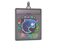 Sticker Slab | FURIA (Holo) | Budapest 2025 skin