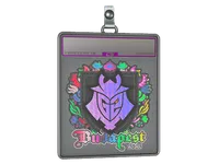 Sticker Slab | G2 esports (Holo) | Budapest 2025 skin