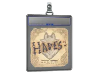 印花板 | hades | 2025年奥斯汀锦标赛 skin