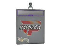 印花板 | hardzao（闪耀）| 2023年巴黎锦标赛 skin