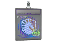Sticker Slab | Liquid (Holo) | 2020 RMR