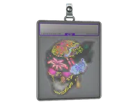 Sticker Slab | Lorena (Holo) skin