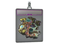 Sticker Slab | Lucas (Foil) skin
