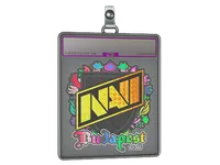 Sticker Slab | Natus Vincere (Holo) | Budapest 2025 skin