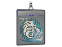 Sticker Slab | North | 2020 RMR skin