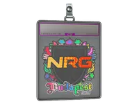 Sticker Slab | NRG (Holo) | Budapest 2025 skin