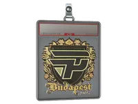 Sticker Slab | paiN Gaming (Gold) | Budapest 2025 skin