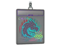 Sticker Slab | Spirit (Holo) | 2020 RMR skin
