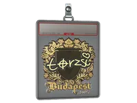 Sticker Slab | torzsi (Gold) | Budapest 2025 skin