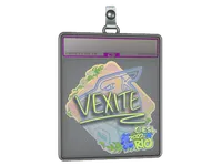 Sticker Slab | vexite (Holo) | Rio 2022 skin