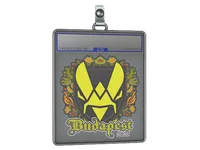 Sticker Slab | Vitality | Budapest 2025 skin