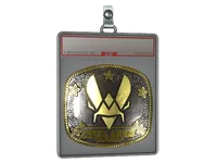 Sticker Slab | Vitality (Gold) | Austin 2025 skin