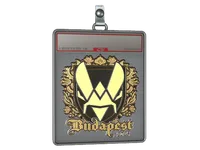 Sticker Slab | Vitality (Gold) | Budapest 2025 skin