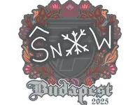 Sticker | snow | Budapest 2025 skin