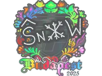 Sticker | snow (Holo) | Budapest 2025 skin