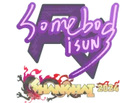 Sticker | somebody | Shanghai 2024