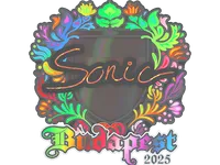 Sticker | Sonic (Holo) | Budapest 2025 skin