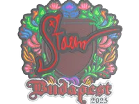 印花 | Staehr（刺绣）| 2025年布达佩斯锦标赛 skin
