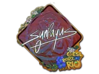 Naklejka | SunPayus (brokatowa) | Rio 2022 skin