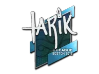 印花 | tarik | 2018年波士顿锦标赛 skin