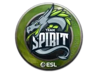 Naklejka | Team Spirit | Katowice 2019 skin