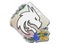 Sticker | Team Spirit | Rio 2022
