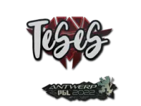 Sticker | TeSeS | Antwerp 2022 skin