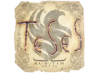 Naklejka | TeSeS | Austin 2025 skin