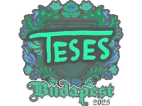 Pegatina | TeSeS | Budapest 2025 skin