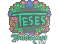 Pegatina | TeSeS (bordada) | Budapest 2025 skin