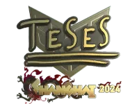 Klistermärke | TeSeS (Gold) | Shanghai 2024 skin