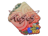 Sticker | TeSeS | Rio 2022 skin