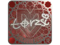 Sticker | torzsi (Foil, Ranked) | Cologne 2026 skin