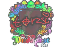 印花 | torzsi（全息）| 2025年布达佩斯锦标赛 skin