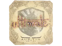 印花 | ultimate | Austin 2025 skin