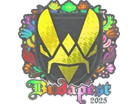 Sticker | Vitality (Holo) | Budapest 2025