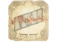 Klistermärke | w0nderful | Austin 2025 skin