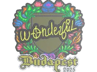 印花 | w0nderful（刺绣）| 2025年布达佩斯锦标赛 skin