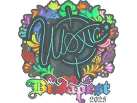 Sticker | woxic (Holo) | Budapest 2025 skin