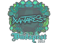 Pegatina | XANTARES | Budapest 2025 skin