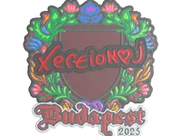 印花 | xertioN（刺绣）| 2025年布达佩斯锦标赛 skin