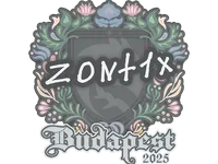 印花 | zont1x | 2025年布达佩斯锦标赛 skin