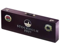 Stockholm 2021 Ancient Souvenir Package skin