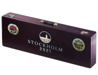 Stockholm 2021 Dust II Souvenir Package