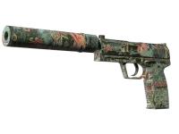 USP 消音版 | 远古幻想 (久经沙场) skin