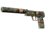 USP 消音版 | 远古幻想 (略有磨损) skin