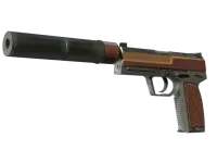 USP-S | Clase preferente (Recién fabricado) skin