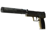 USP-S | Lead Conduit (Well-Worn)