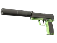 USP-S | Para Green (Com Pouco Uso) skin